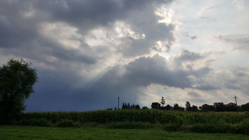 Scenic view of field against sky