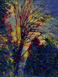 Full frame shot of multi colored flowers