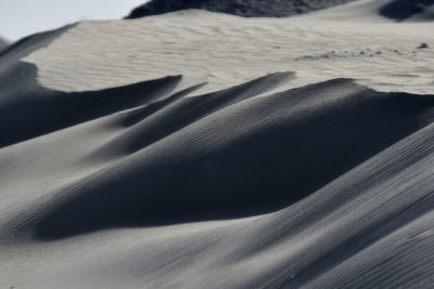 Scenic view of sand dune