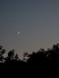 Low angle view of silhouette trees against sky