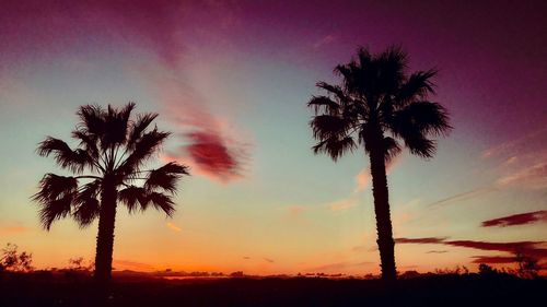 Silhouette palm trees against dramatic sky during sunset