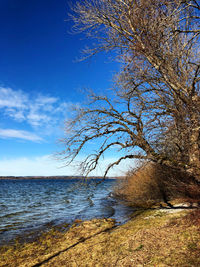 Scenic view of sea against blue sky