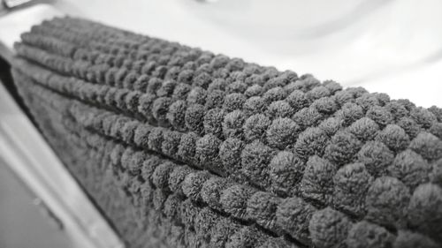 Close-up view of an animal