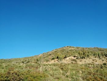 Scenic view of landscape against clear blue sky