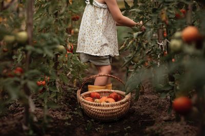 Midsection of woman standing by plants in field