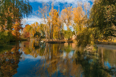 Scenic view of lake by trees during autumn