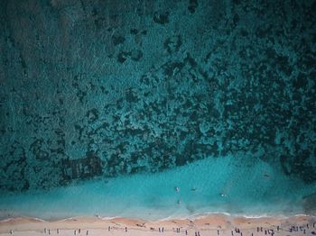 High angle view of birds swimming in sea