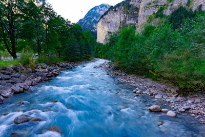 Stream flowing through rocks in forest