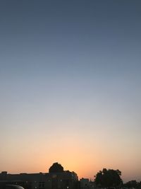 Silhouette trees against clear sky during sunset