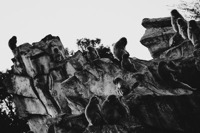 Low angle view of rock formation