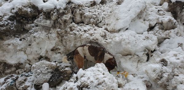 High angle view of snow on land