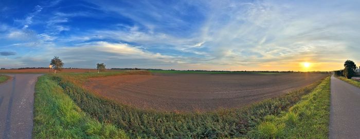 Scenic view of agricultural field against sky