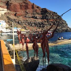Panoramic shot of man fishing on beach