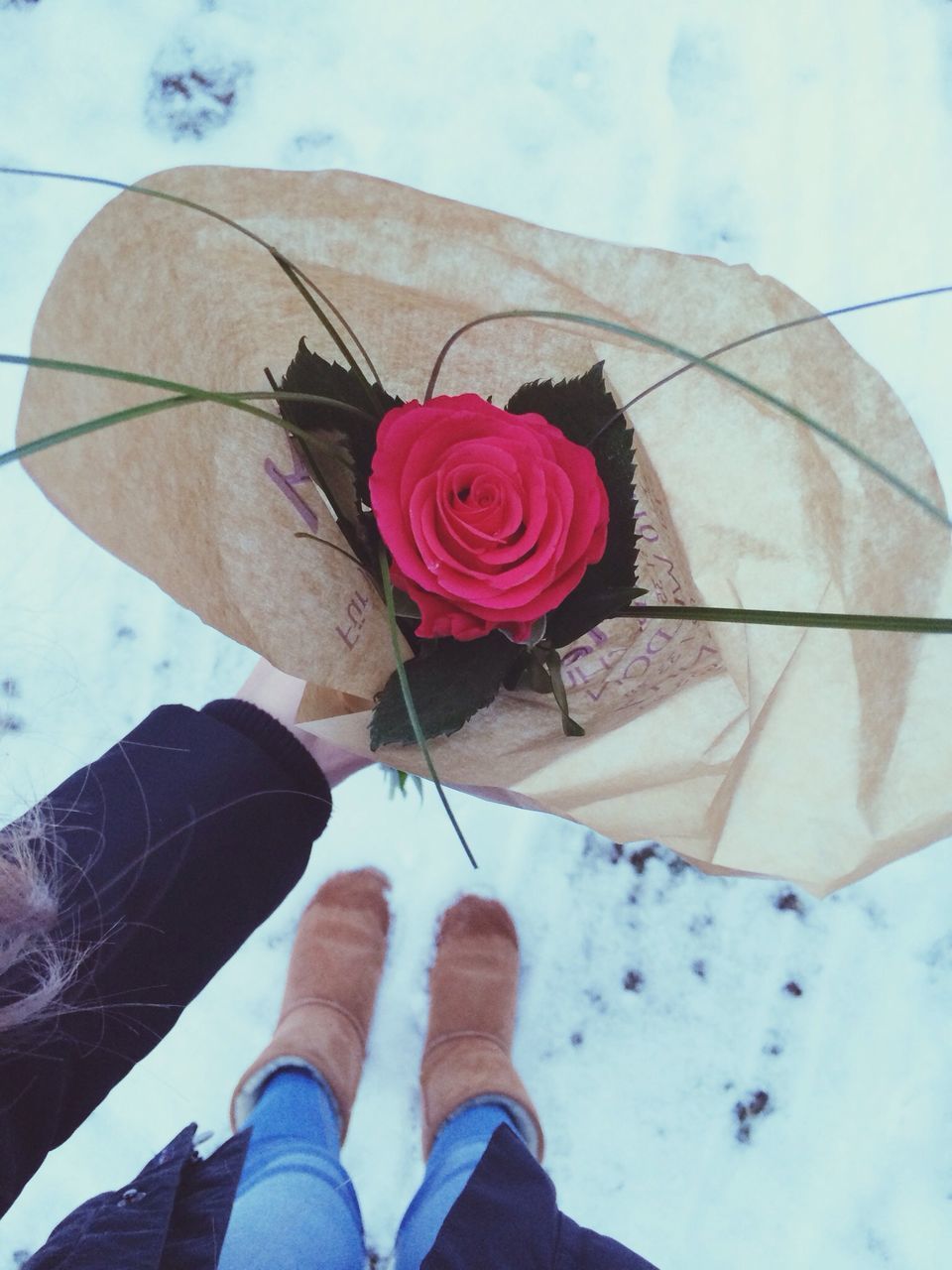 holding, flower, pink color, person, part of, lifestyles, rose - flower, freshness, leisure activity, fragility, sky, petal, close-up, personal perspective, day, cropped, outdoors