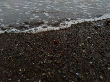 High angle view of surf on beach