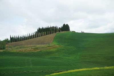 Scenic view of farm against sky