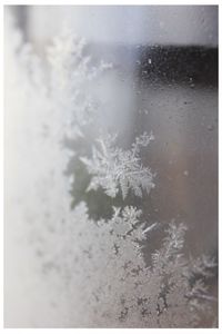 Close-up of water drop on window