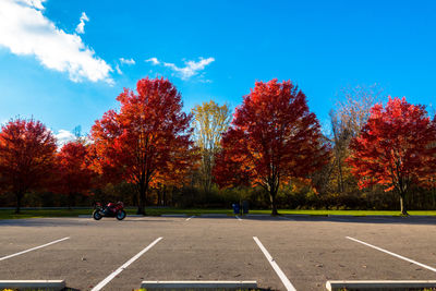 Trees by road against sky during autumn