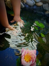 High angle view of woman with reflection in water