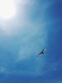 Low angle view of birds flying in sky