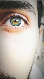 Close-up of human eye