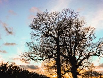Low angle view of silhouette bare tree against sky