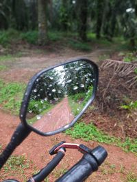 Close-up of side-view mirror