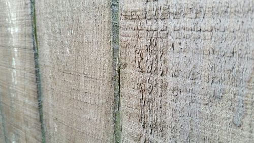 Full frame shot of wood