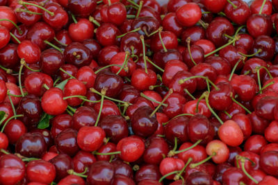 Full frame shot of tomatoes for sale
