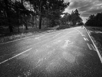 Empty road along trees in city