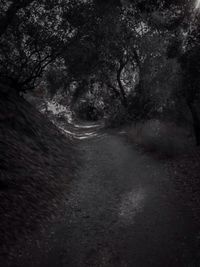 Road passing through trees