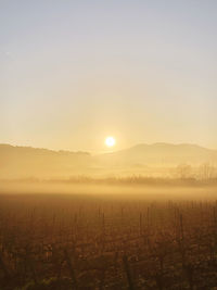 Scenic view of field against sky during sunset