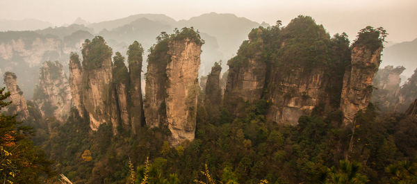 Panoramic view of trees and mountains against sky