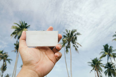 Low angle view of palm tree against sky