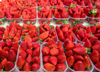 High angle view of fruits for sale in market