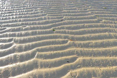 Full frame shot of sand dune