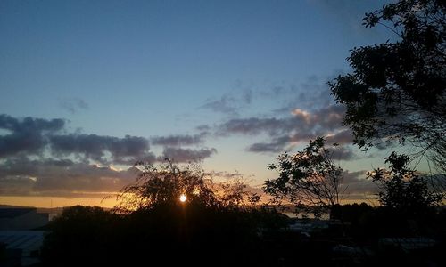 Silhouette trees against sky during sunset