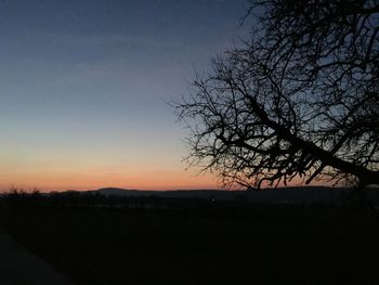 Silhouette bare tree against clear sky at sunset