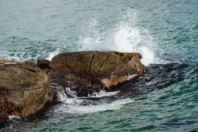 Waves on rock in sea