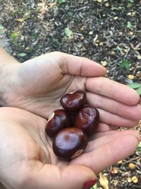 Close-up of hand holding eggs