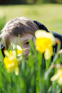 Portrait of boy sitting amidst plants at park