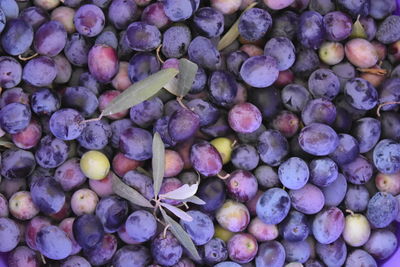 Full frame shot of grapes in market