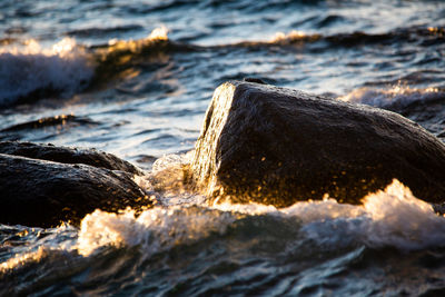 Rocks on beach