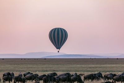 Hot air balloon flying over land against clear sky