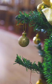 Close-up of christmas tree