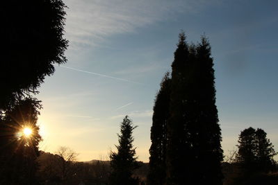 Low angle view of silhouette trees against sky at sunset