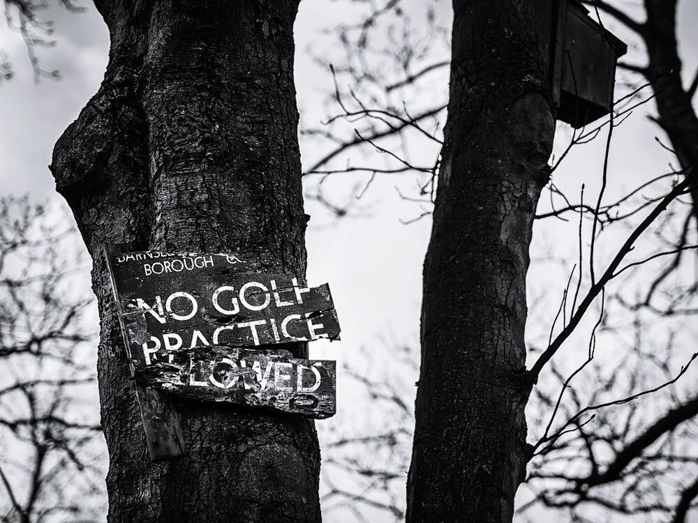 Tree with sign