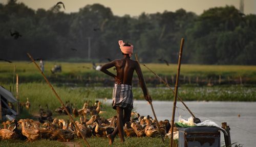 Man standing on field by water