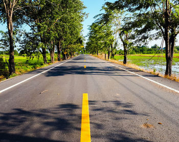 Road amidst trees