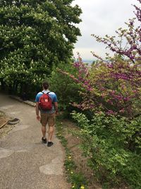 Rear view of man walking on footpath